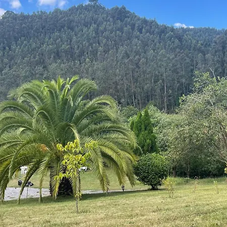 Holiday home La Manzanita *